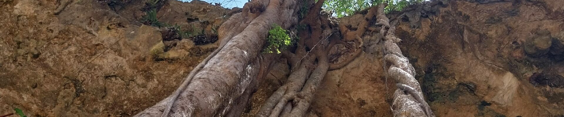 Le Blog de la Famille Groussard