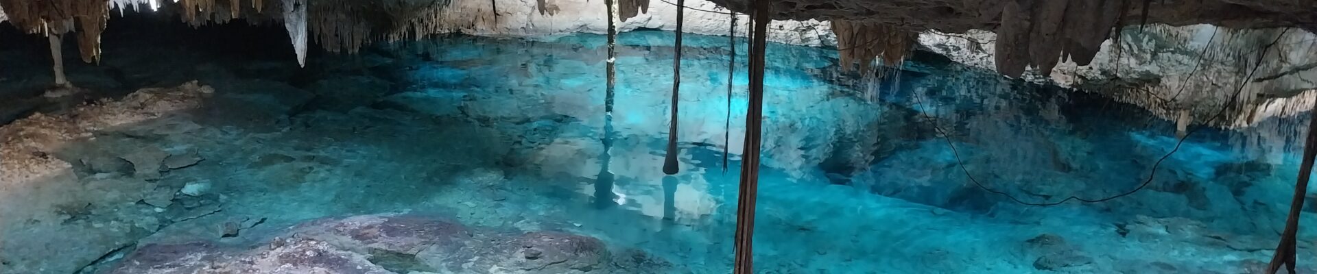 Le Blog de la Famille Groussard