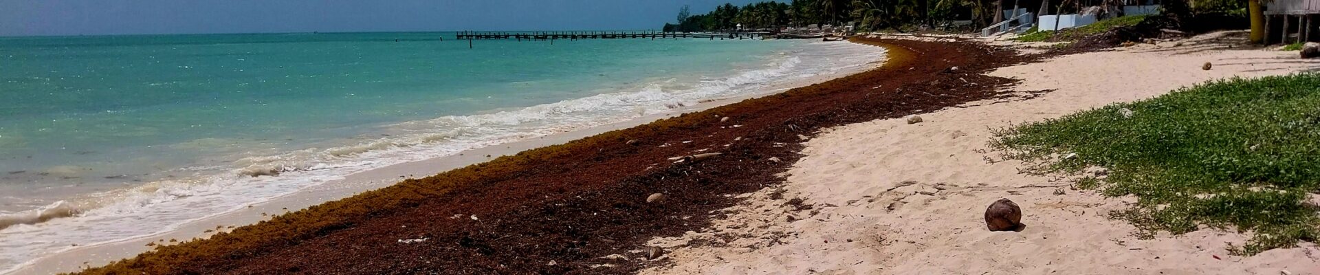 Le Blog de la Famille Groussard