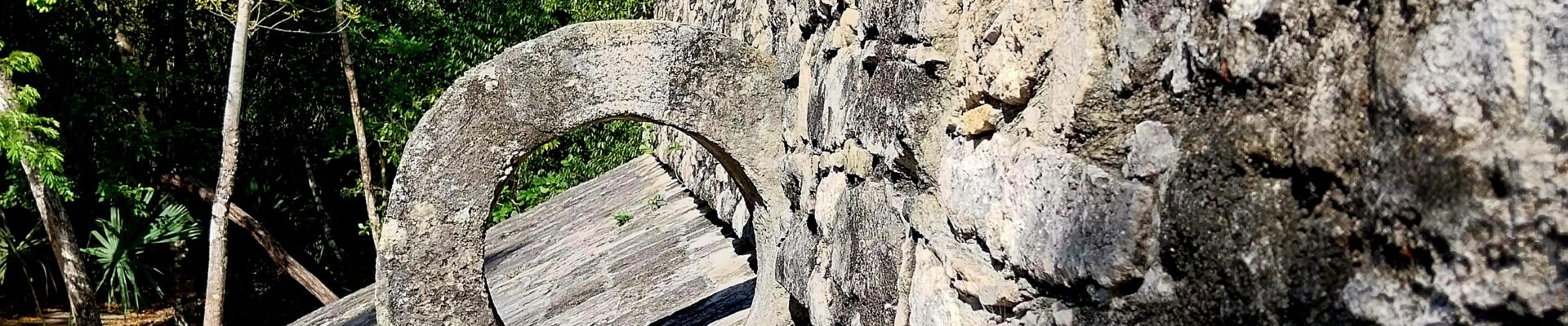 Le Blog de la Famille Groussard